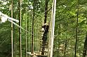 voriges Bild - HochseilgartenWaldheim_077